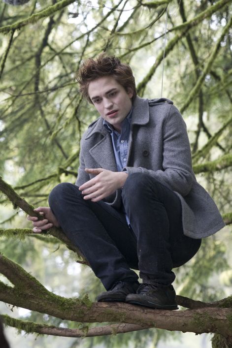 alkonyat_7-001_192606_54276edward_a_fan.jpg
